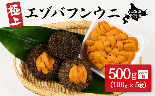 
            極上 エゾバフンウニ 500g（パック詰）高級 うに ウニ 雲丹 生うに バフンウニ 塩水 パック詰め ふるさと納税 北海道 登別市
          