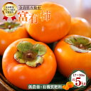 【ふるさと納税】先行予約 富有柿 約5kg （ 17〜20個 ） 日本野菜ソムリエ協会大賞受賞品 ※ 11月上旬～12月上旬頃発送 | フルーツ 果物 くだもの 柿 かき カキ 奈良県 五條市