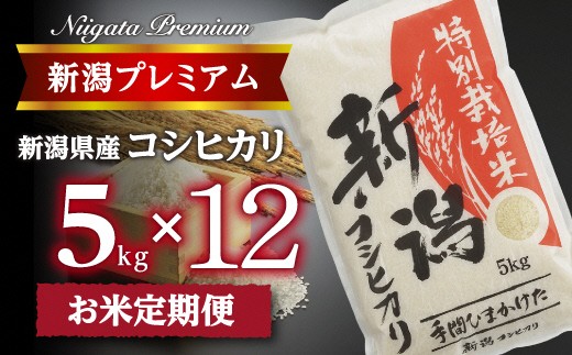 【令和8年産】『定期便』新潟プレミアム 特別栽培米 コシヒカリ 白米5kg × 12か月 FC125004 【 米 白米 お米 ごはん ご飯 白飯 ライス 美味しい 燕 燕三条 燕市 】