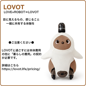 No.240617-01 LOVOT 3.0　(ちゃ)