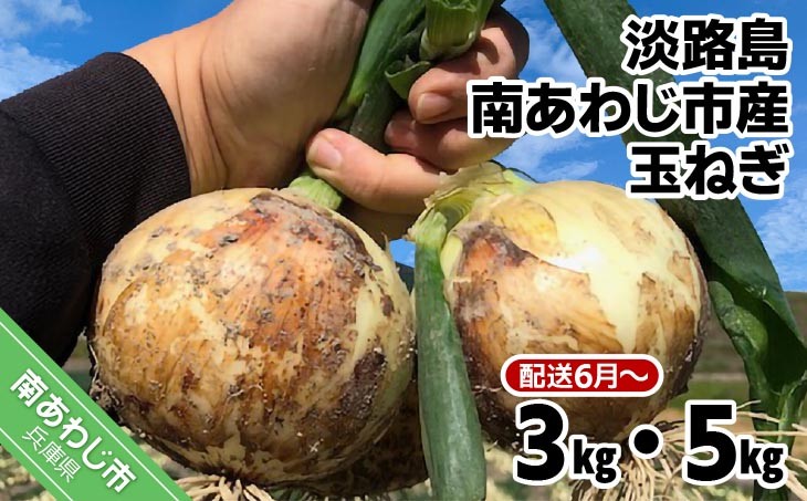 
                  【量が選べる！】淡路島 南あわじ市産玉ねぎ　◆配送6月～
                