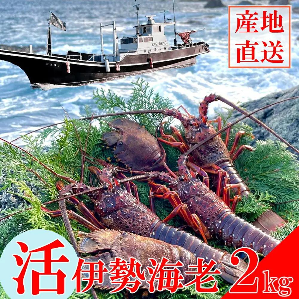 【先行予約】 天然伊勢海老2kg　　【 伊勢海老 いせえび 】 FN-Limited-PR