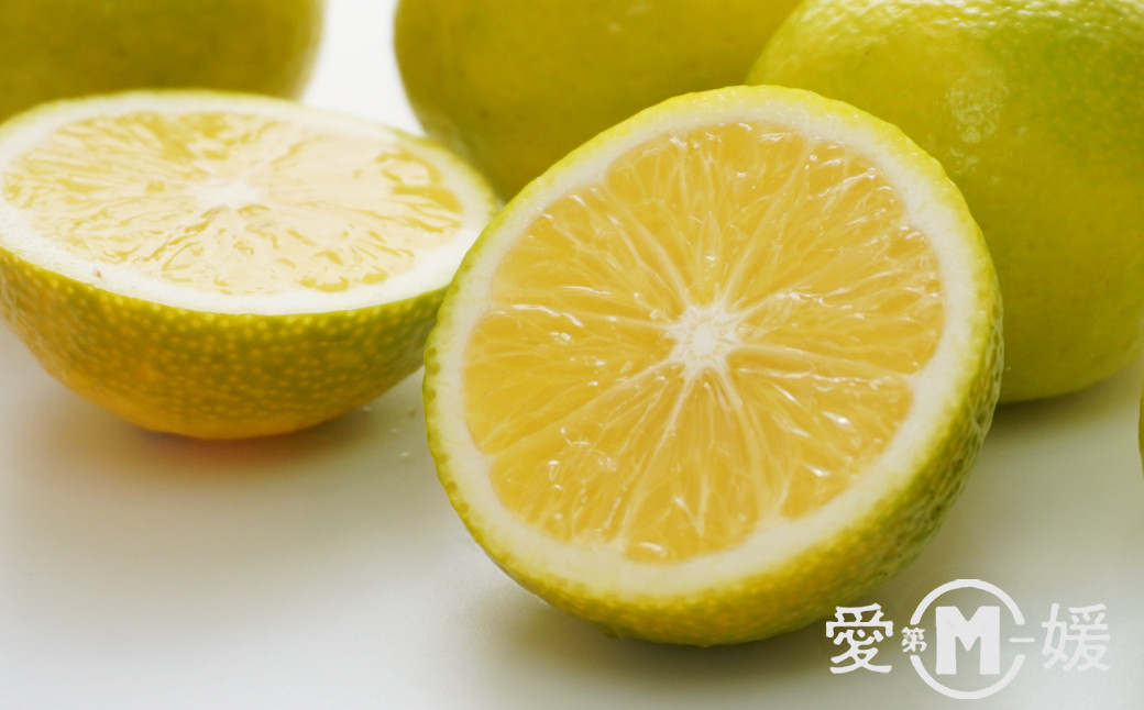 
                  【先行予約】訳あり 黄金柑 5kg 7000円 みかん mikan 蜜柑 ミカン わけあり おうごんかん 産地直送 国産 農家直送 期間限定 数量限定 特産品 ゼリー ジュース アイス 冷凍 みかん 等に 人気 甘い フルーツ 果物 柑橘 おいしい ジューシー 愛媛県 愛南町 第一マルエム青果有限会社
                