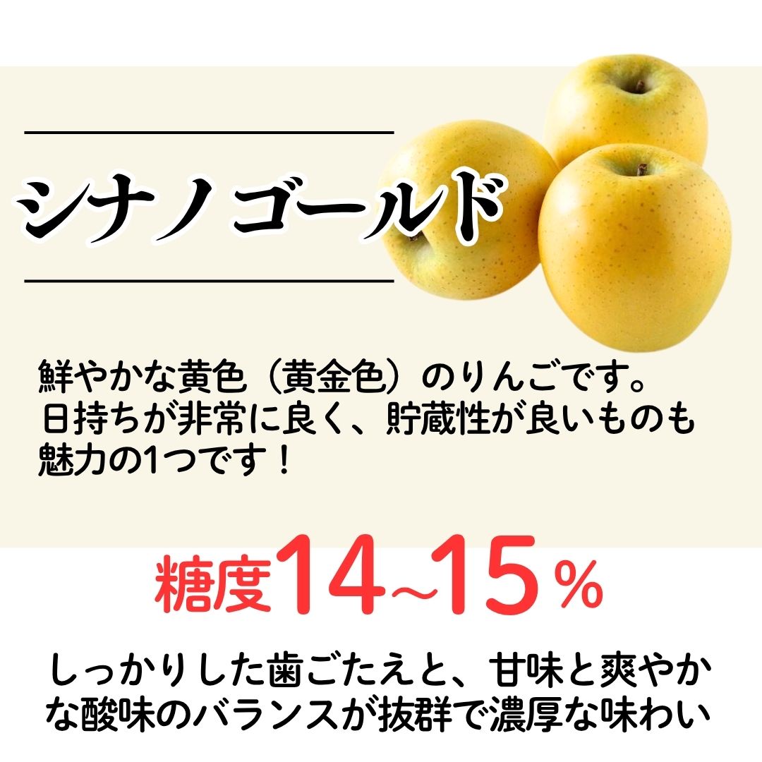 【10月下旬以降発送】佐渡 西三川・松丘農園のりんご「シナノゴールド」12個から20個 計5kg196042-0007
