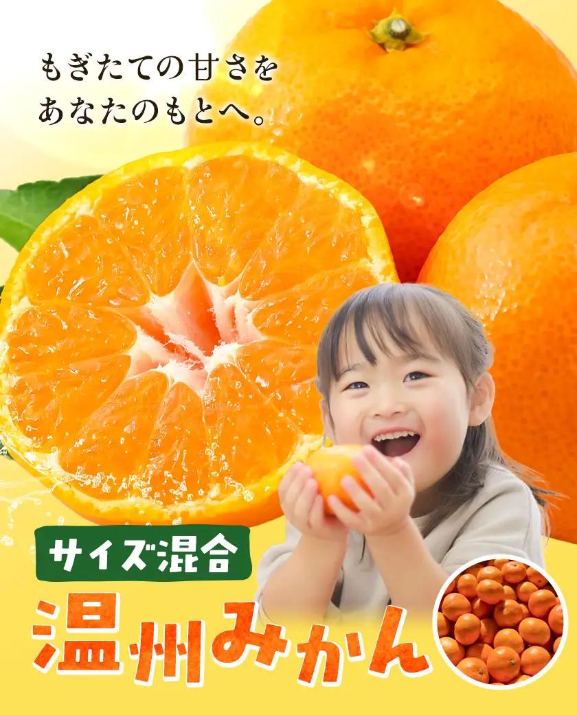 みかん 温州 みかん 約10kg エイワ商店