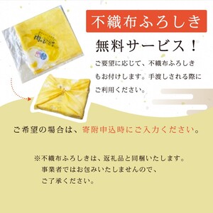 飛騨牛　焼肉用（肩ロース700ｇ）【0016-039】