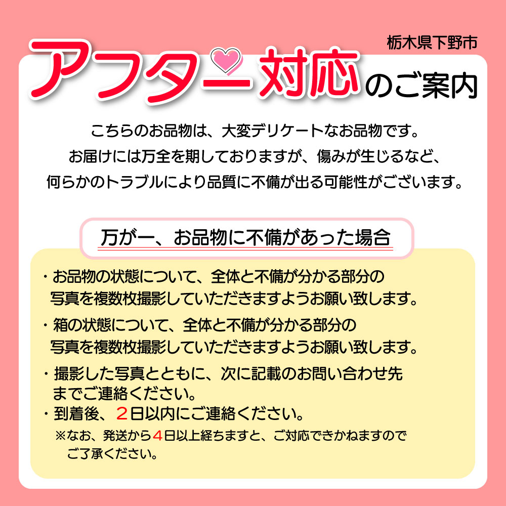 【ふるさと納税】【先行予約】紅白いちご300g×2