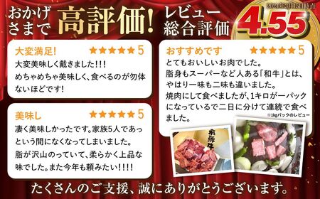 訳あり 飛騨牛 焼肉用 500g 切り落とし 牛肉 肉 バーベキュー セット 和牛 焼き肉 訳アリ 部位おまかせ ウデ バラ モモ肉 14000円 [S811] 牛肉 肉 訳あり 牛肉 肉 訳あり 牛