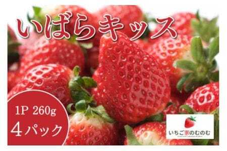 いちご いばらキッス 4p いちご家のむのむ イチゴ 苺 4パック 国産 果物 フルーツ くだもの 1月 2月 発送 冬 旬 産地直送 農家直送 産直 甘い デザート スイーツ 家庭用 贈答 贈答用 茨城 茨城県 石岡市 (A28-001)