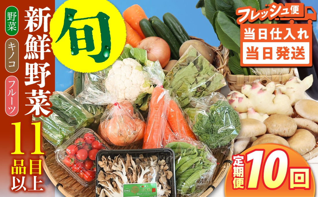 【毎月コース】野菜 キノコ 果物 11品目 詰め合わせ 10回 定期便  / 南島原市 / 吉岡青果[SCZ036]
