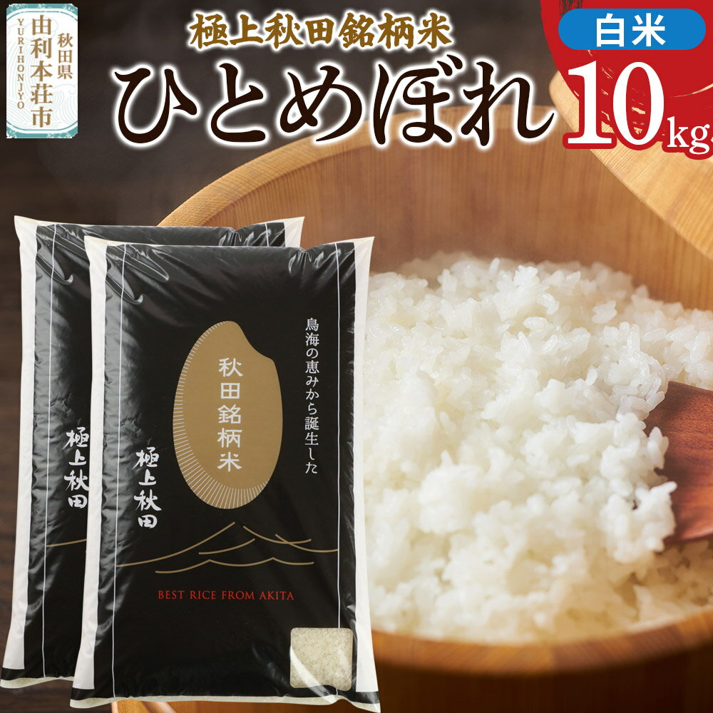 【ふるさと納税】秋田県由利本荘象潟産 極上秋田銘柄米 ひとめぼれ【白米】10kg（5kg×2袋）