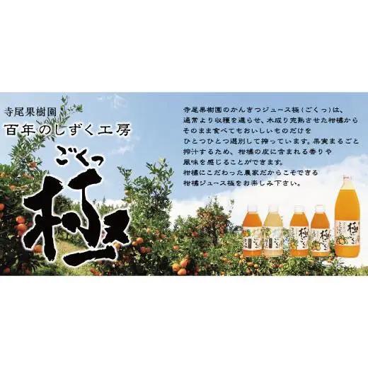 柑橘ジュース「極っ」またざセット