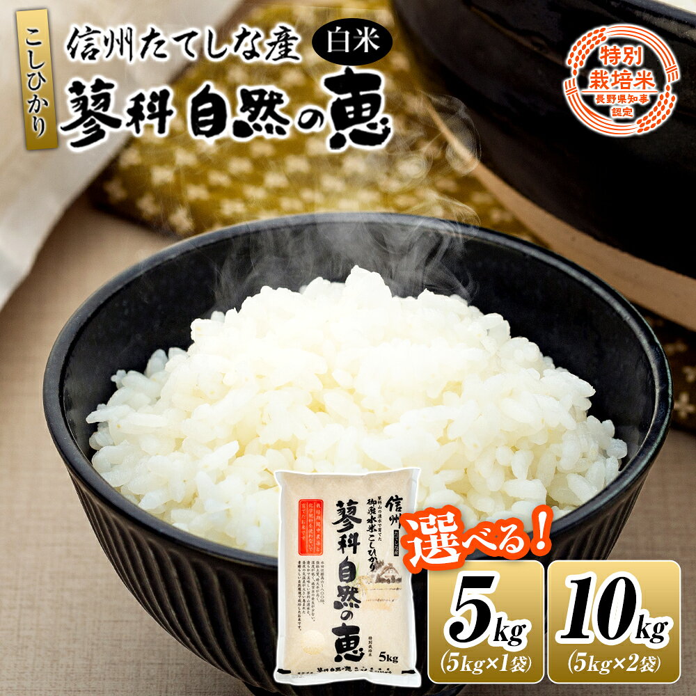 【ふるさと納税】【令和8年産米】信州たてしな産 蓼科自然の恵 (白米) 5kg (1～2袋) | こしひかり コシヒカリ 5kg 10kg 白米 精米 ふるさと 信州 長野県 立科町 蓼科