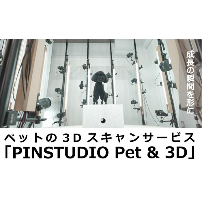 【ふるさと納税】ペットの3Dスキャンと3Dフルカラープリントによる造形（フィギュア）長辺10cm | ペット 3Dスキャン 犬 猫 記念 プレゼント ギフト オーダーメイド 思い出 人気 おすすめ 送料無料 東京 中野区