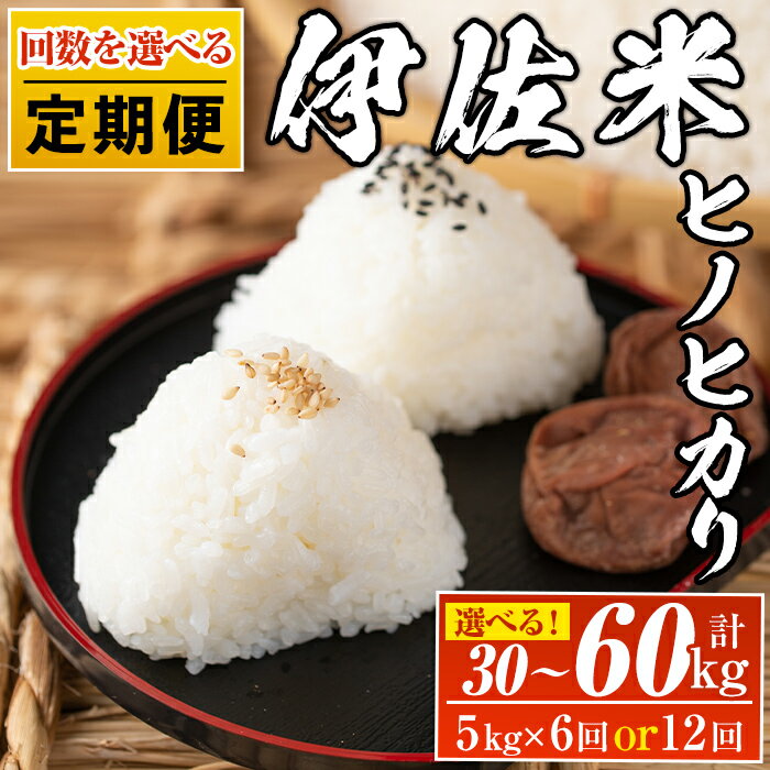 【ふるさと納税】＜回数を選べる！＞【定期便】鹿児島県産！伊佐米ヒノヒカリ(計30kg or 60kg) 薩摩 北の郷 特産品 お米 白米 精米 ひのひかり【神薗商店】