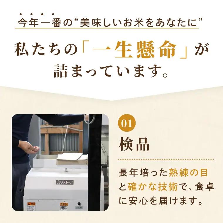 米 ミルキークイーン 精米 5kg 令和8年産 茨城県産 お米 こめ コメ ごはん 白米 みるきーくいーん 茨城県産米 単一米 単一原料米 送料無料 国産 数量限定（85-R8i253）