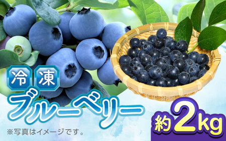 【加工用】冷凍ブルーベリー 2kg ブルーベリー ブルーベリー ブルーベリー ブルーベリー ブルーベリー [YAL027]