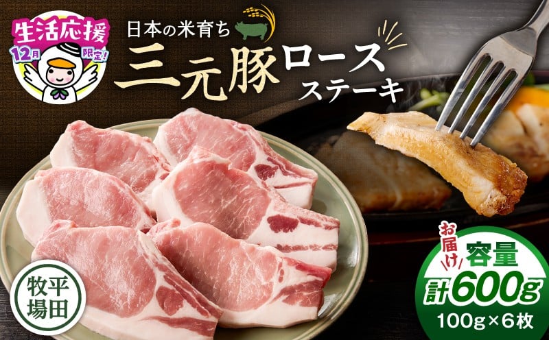 日本の米育ち平田牧場　三元豚ロースステーキ　100ｇ×6（計600ｇ）