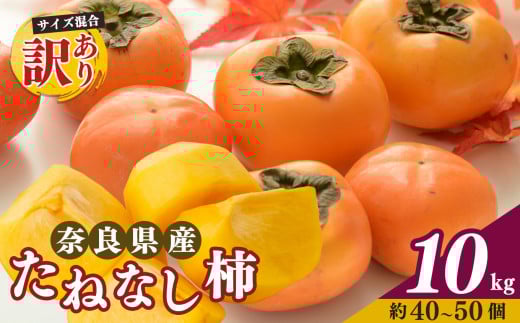 【令和7年発送 先行予約】 訳あり たねなし柿 約10kg （ 40～50個 ) 大人気 | 種無し たねなし 柿 フルーツ 果物 くだもの カキ かき 農家直送 家庭用 フードロス 秋の味覚 旬 大小混合 奈良県 五條市 名産地