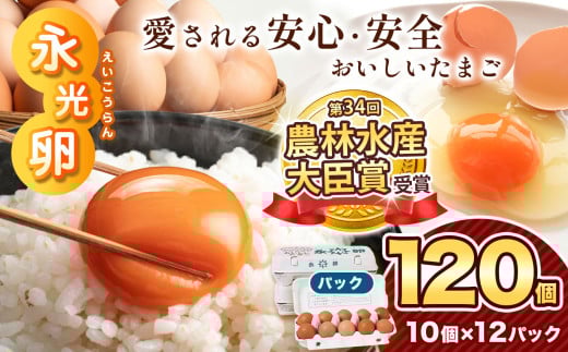 ＼ 2週間以内 に発送 ／ メディア紹介多数！ 永光卵 【 120個 】 卵 たまご パック | スピード発送 送料無料 えいこうらん 光永ファーム みつなが おいしい卵 卵かけごはん プリン ゆうパック 君津市 きみつ 千葉県 すぐ届く