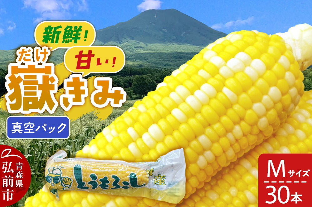【26年10月中旬～発送】とうもろこし 嶽きみ真空パック Mサイズ 30本 しらかみラボ [先行予約 産地直送 嶽きみ コーン ブランド 真空パック おいしい 青森 野菜 だけきみ]