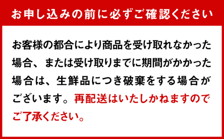 【1月配送開始】 本州配送限定 産地直送 氷見漁港 朝どれ鮮魚お刺身セット定期便6ヶ月連続 土日祝日配達希望（2、3月配送なし）