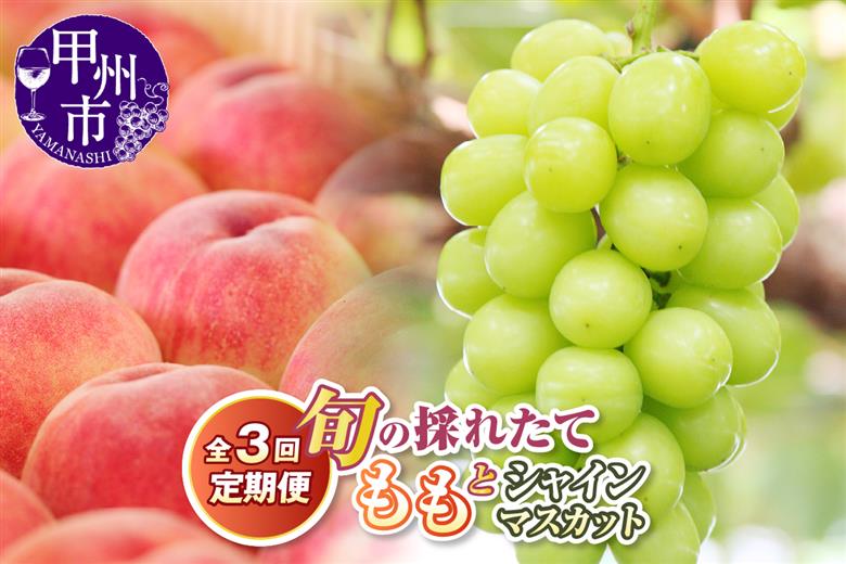 【定期便】旬の採れたて3回定期便（桃・桃・シャインマスカット）【2027年発送】（HO）C9-414