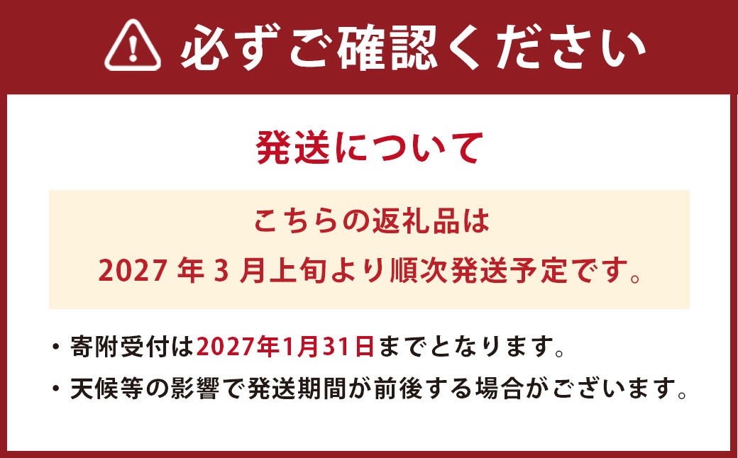 熊本県産 デコポン(露地) 約2kg