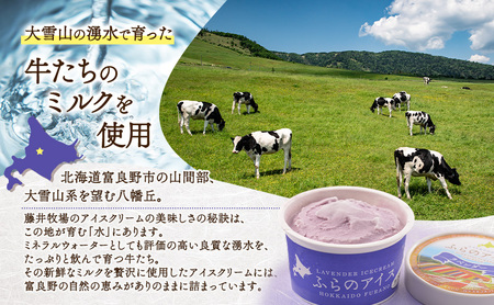 アイスクリーム デザート ディームファクトリー 北海道【5種×2個 計10個】