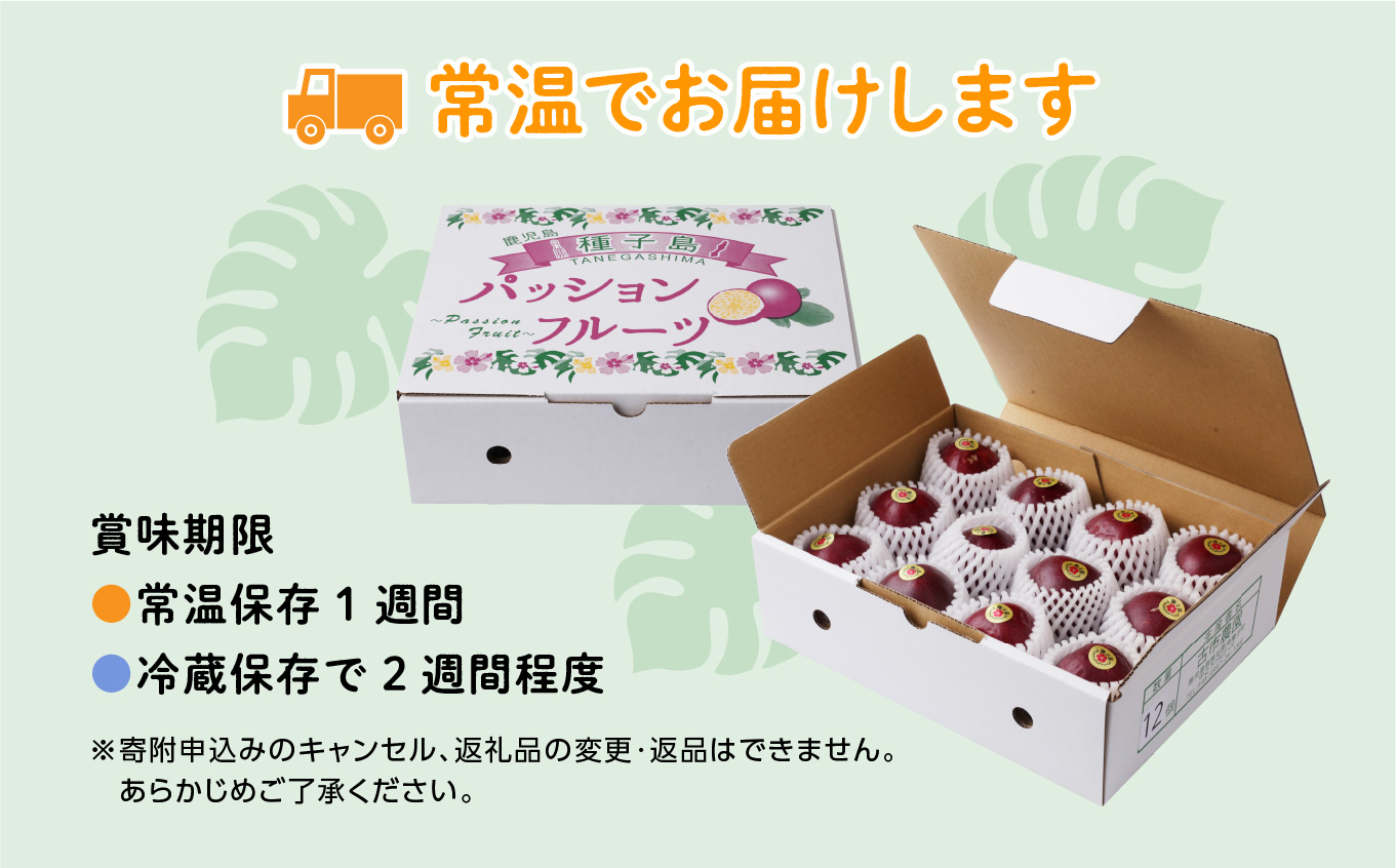 令和6年産 種子島産パッションフルーツ2ケース （24個入り）【新栄物産】