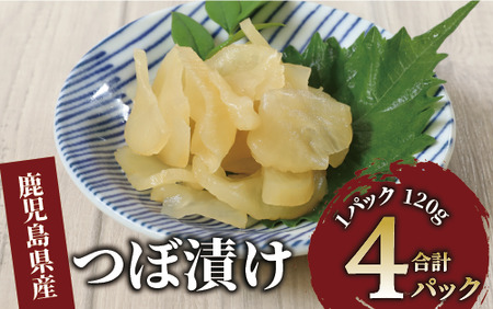 つぼ漬480g(120g×4P)(中園久太郎商店/005-1676) 漬物 漬け物 つけもの つぼづけ つぼずけ 鹿児島 指宿 いぶすき 久太郎 ご飯のお供 ごはんのおとも ご飯 ごはん お試し 小容量 小分け ポスト投函 鹿児島県産 国産 醤油漬け しょうゆ漬け だいこん 大根