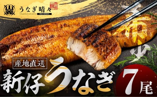 山義養魚の『うなぎ晴々』 大容量！7尾 希少  豊橋うなぎ 蒲焼 厳選 国産 新仔うなぎ 若うなぎ 鰻 簡易包装 ウナギ うなぎ 鰻 蒲焼 ギフト ひつまぶし 土用丑の日 ギフト 冷凍  丑の日 簡単調理 豊橋うなぎ お取り寄せ 送料無料