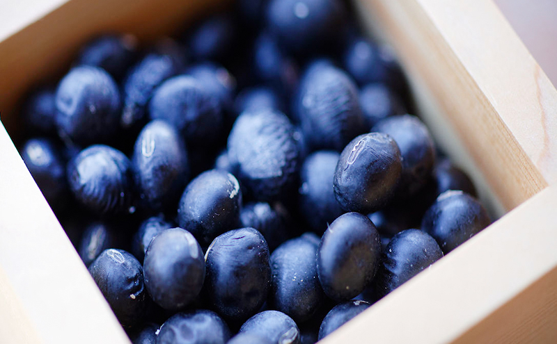 丁寧に直火焙煎したこだわりの黒豆茶(90g 18包)×2パック 有機JAS・秀明自然農法認証取得 飲料類 お茶