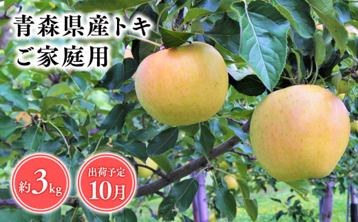 2025年産１０月発送　【訳あり】家庭用トキ3kg【青森県 平川市 そと川りんご園】１０月発送 家庭用 青森 青森県産 平川 りんご リンゴ 林檎 くだもの 果物 フルーツ 