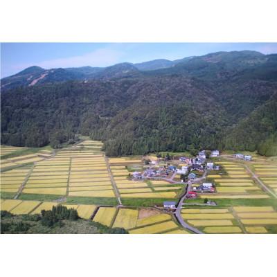 ふるさと納税 津南町 【有機JAS認証米】魚沼産にじのきらめき苗場プリンセス・プレミアム玄米5kg |  | 01