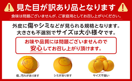 ［先行予約］ご家庭用 はっさく約4kg 大小サイズ 混合