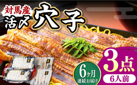 【全6回定期便】対馬産 活〆 穴子 ３点 セット E【THE・対馬株式会社】《対馬市》新鮮 あなご 刺身 天ぷら 海鮮 肉厚 簡単調理 六人前  九州 長崎 [WAS019]