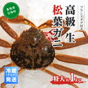 【ふるさと納税】【早期先行予約】ブランドタグ付高級生松葉ガニ（特大約1kgを1枚）OM-26 冷蔵発送 タグ付き 高級 生 活 活松葉ガニ 松葉がに かに 蟹 カニ 鳥取県境港 御来屋漁港 みくりや漁港 鳥取県日南町