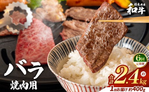 【定期便6回】栃木県産和牛 バラ焼き肉 約400g  | 定期便 牛肉 和牛 焼き肉 やきにく 焼肉 焼肉用 バラ肉 ばら肉 バラ ばら 旨味 美味しい 肉 お肉 栃木県共通返礼品 栃木県 真岡市