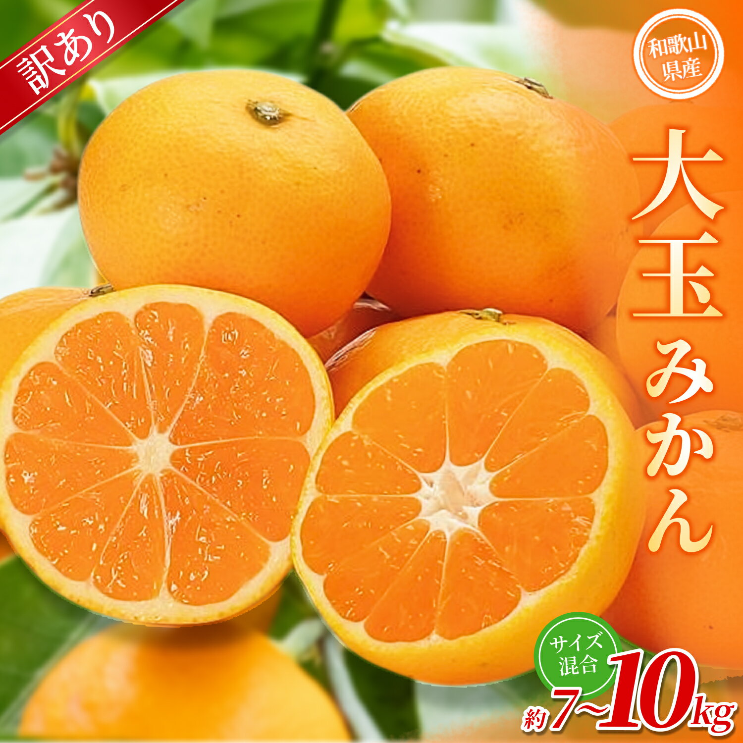 【ふるさと納税】【訳あり】 森本農園の手選別 大玉みかん 約7～10kg 和歌山県産 【北海道・沖縄・離島配送不可】【2025年11月上旬～2026年2月中旬ごろに順次発送】【BV-mrmt072-073】