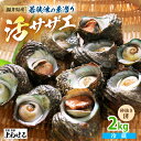 【ふるさと納税】若狭湾の素潜り 天然 活サザエ 2kg (説明書付き)【サザエ さざえ 貝 天然 海産物 刺身 お造り 海の幸 BBQ つぼ焼き 壺焼き 佃煮 海鮮 魚介】お買い物マラソン 買い回り [m17-a003]