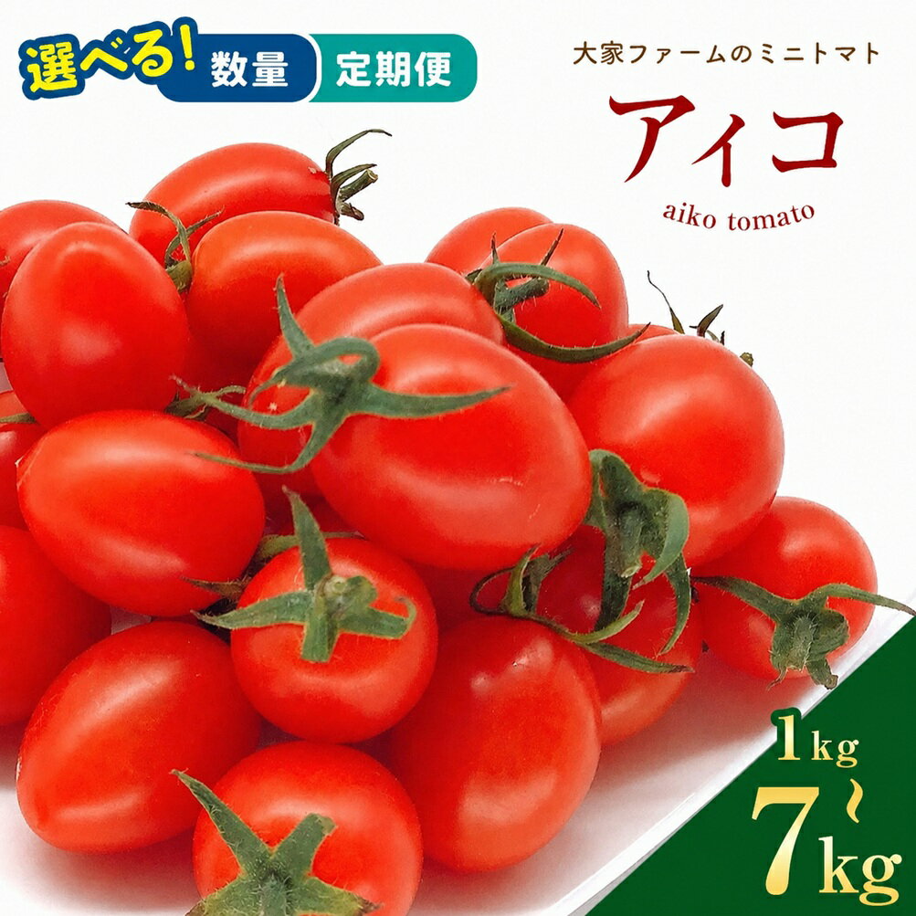 【ふるさと納税】ミニトマト アイコ 1kg 1.2kg 2kg 3.5kg 7kg 1回 3回 4回 5回 定期 | 玉名 熊本 大家ファーム