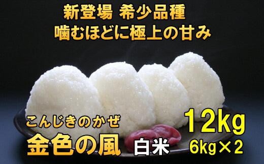 【白米12kg】新登場の高級米　令和6年産  岩手県奥州市産 金色の風12kg（6kg×2）【７日以内発送】 おこめ ごはん ブランド米 精米 白米