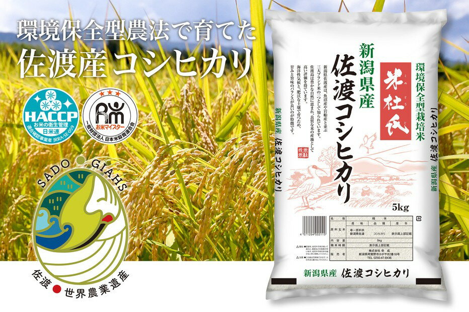 【ふるさと納税】米 コシヒカリ 佐渡産 ( 5kg ) 米杜氏【令和7年米】 | 佐渡市 米 コシヒカリ 佐渡産 地元産 こだわり 農家 美味しい お米 ふっくら 風味豊か お取り寄せ 通販 ふるさと納税