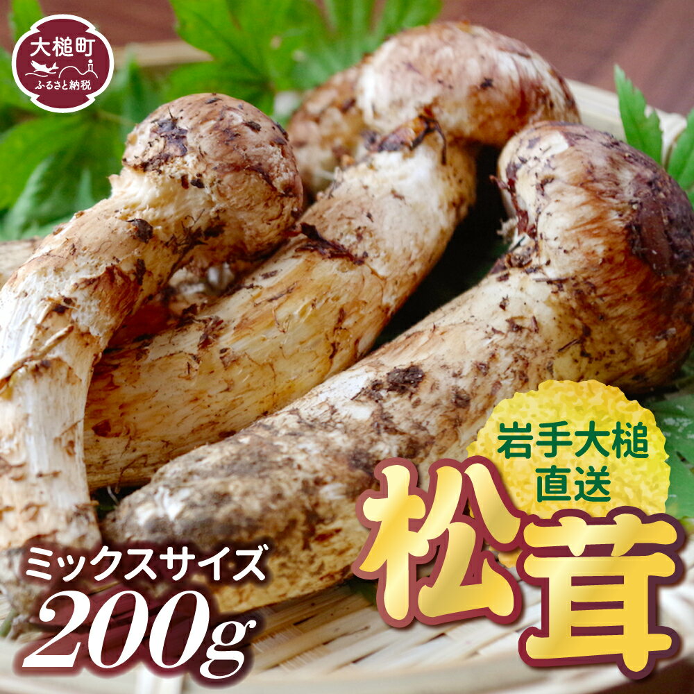 【ふるさと納税】《先行予約》【令和7年10月より発送】松茸 200g 岩手 県 産 国産 ミックス サイズ まつたけ 岩手県大槌町天然 期間限定 季節限定 産地直送 希少 秋 山の幸 きのこ キノコ ご飯 土瓶 蒸し 送料無料 国内産 いわて iwate