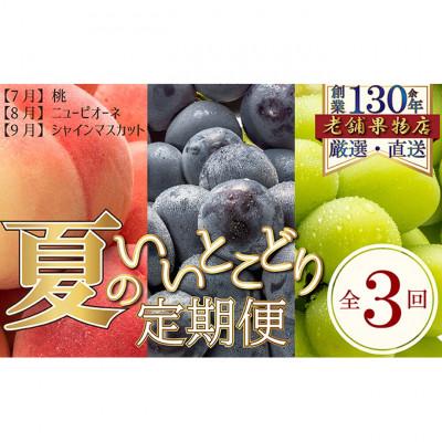 ふるさと納税 綾川町 【発送月固定定期便】夏のいいとこどり定期便(7・8・9月発送) [54010343]全3回