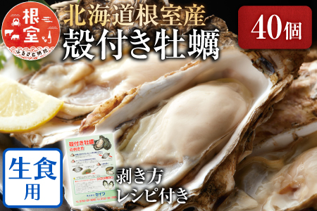 【北海道根室産】貝付き牡蠣40個[2024年4月上旬以降発送] C-54008