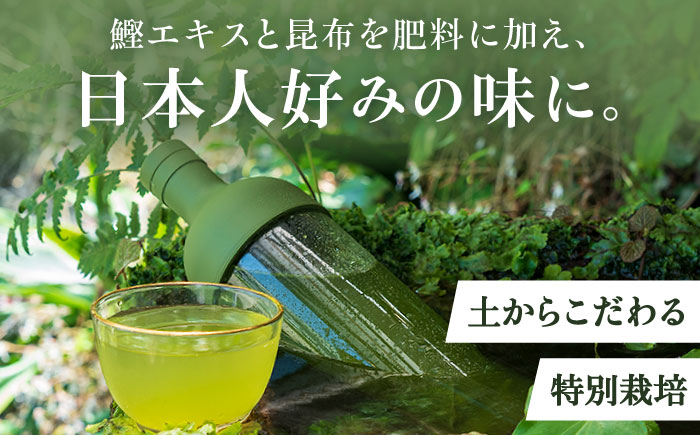 白川家特選5種類詰合せセット 計500g / お茶 日本茶 嬉野茶 緑茶 / 佐賀県 / 白川製茶園 [41AIAB001]