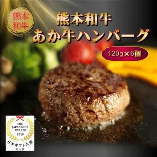 あか牛100%ハンバーグセット(あか牛ハンバーグ120g×6個)(益城町)【配送不可地域：離島】【1526892】