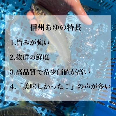ふるさと納税 長野県 臼田養魚場の信州あゆ(冷凍個包装)10尾 |  | 03